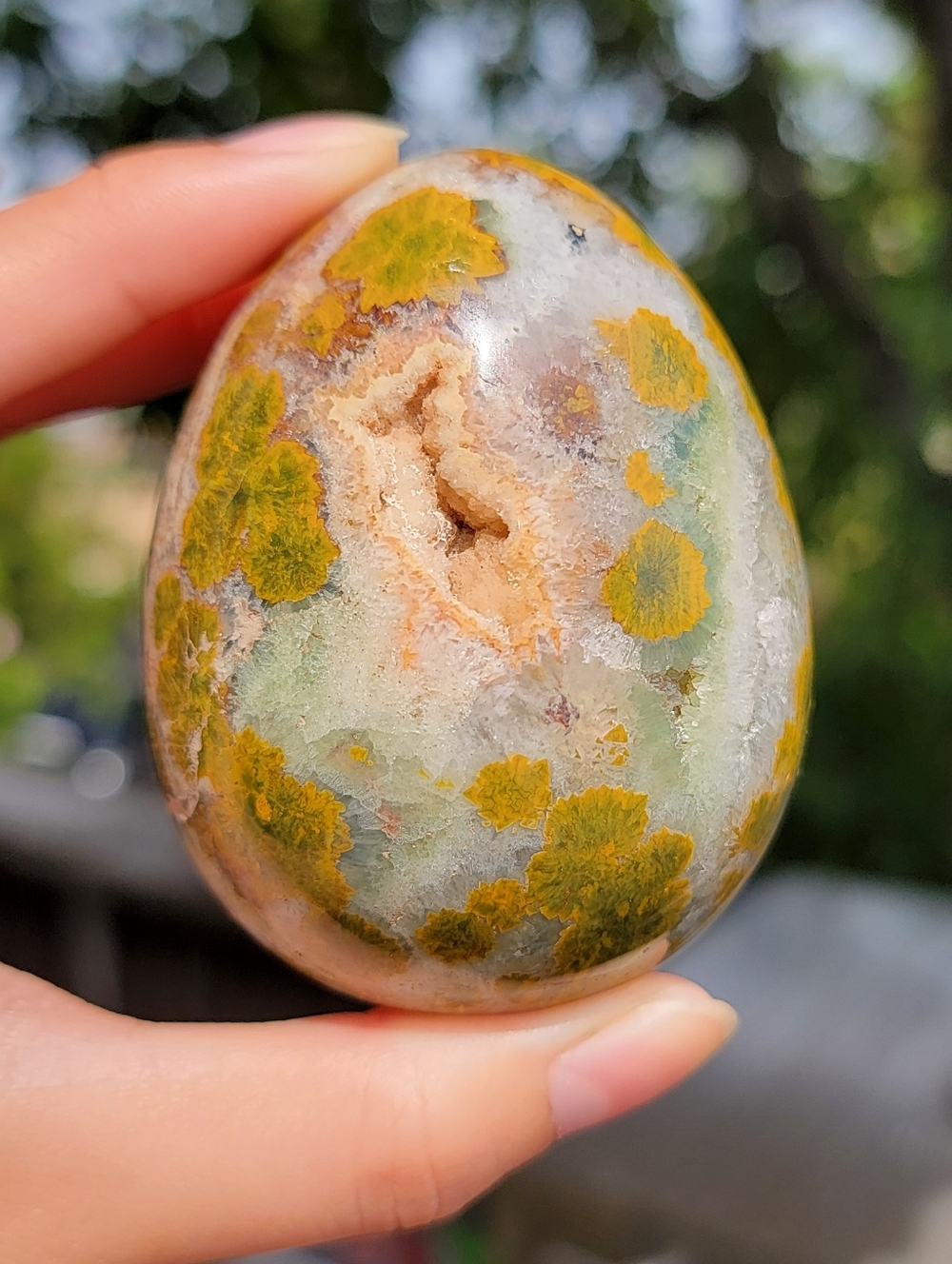 NEW 3" x 296g OCEAN JASPER EGG